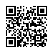 Bulk Rename Utility v4.0.0.6便携版-趣奇资源网-第13张图片