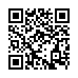 mGBA模拟器v0.10.4便携版-趣奇资源网-第13张图片