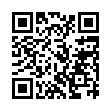 windows网卡切换小工具-趣奇资源网-第11张图片