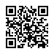 qBittorrent v5.1.1.10增强便携版-趣奇资源网-第13张图片