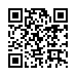 FurMark v1.39.1绿色单文件版-趣奇资源网-第13张图片